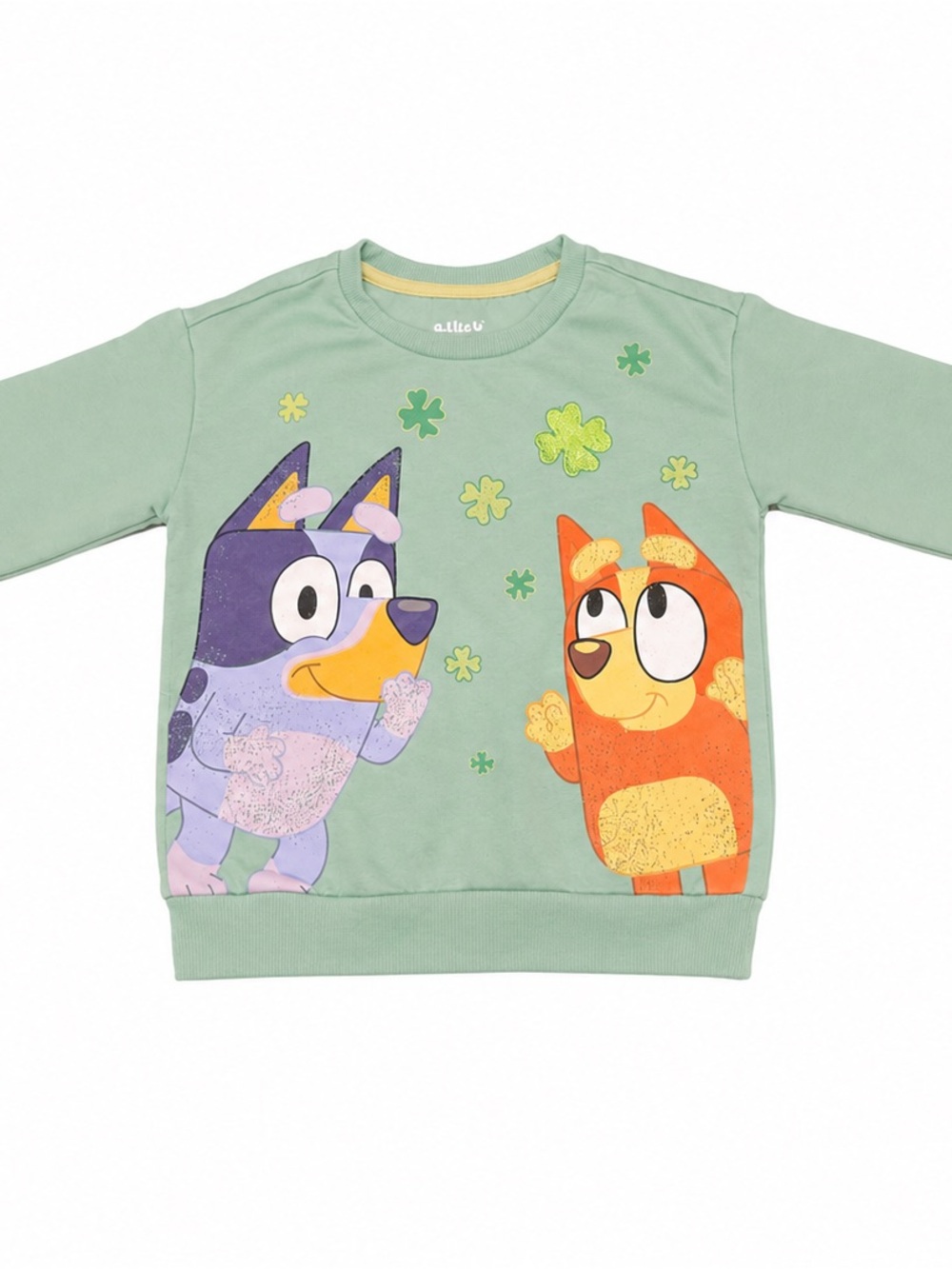 Bluey & Bingo Sage Green Toddler Crewneck Sweatshirt Size 5T